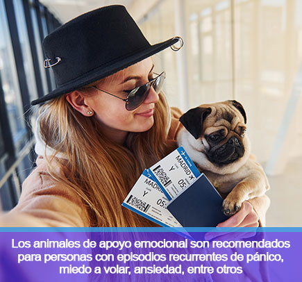 Mujer con perro abordando avión