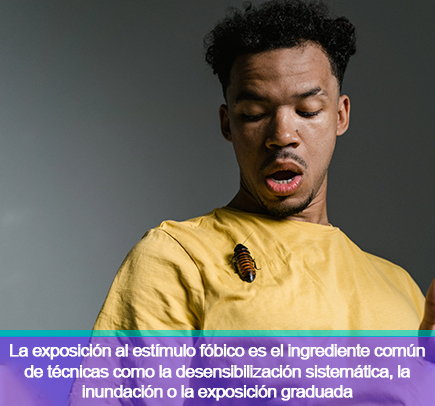 Tratamientos Psicológicos para fobias